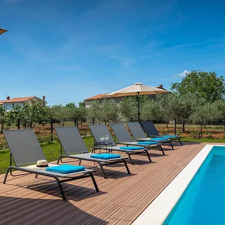 In Istra With Heated Pool * Svetvinčenat
